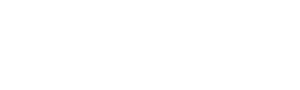 Walking Like Jesus